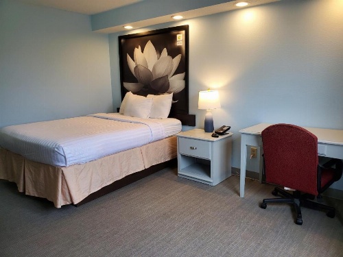 Coastal Inn & Suites image 26